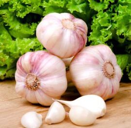 garlic to cure toenail fungus